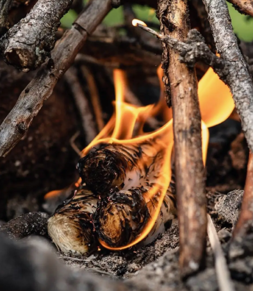 Древесные роллы для розжига 50 грамм / Экологично чистый продукт, без запаха